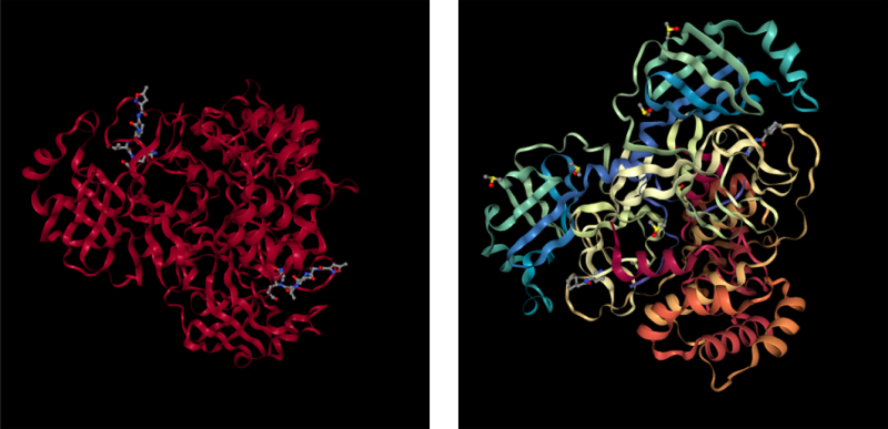 60c39e9d433a9e5b5a692ab9_molecule-graphic 60c39e9d433a9e5b5a692ab9_molecule-graphic