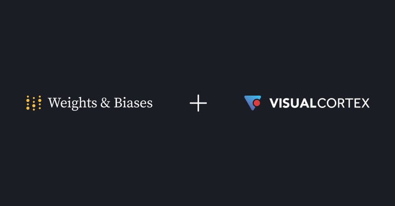 Visual Cortex